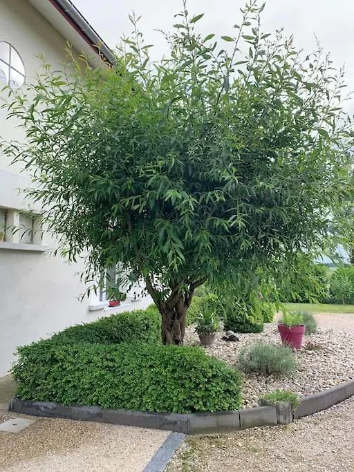 Apartment Gite Les Combes Bellevue A Etrez, Appartement A La Campagne Bresse Vallons